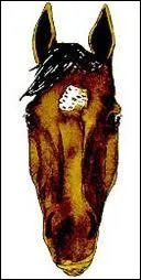 Comment s'appelle cette liste ?