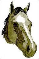 Comment s'appelle cette liste ?