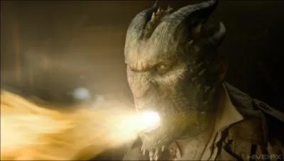 Ce sont des dragons cracheurs de feu trs dangereux !