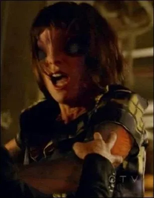 C'est une abeille mais quel est son nom prcis ?