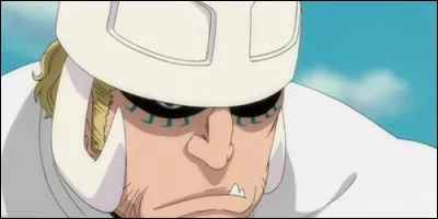 Qui affronte Nirgge Parduoc dans "la fausse Karakura" ?