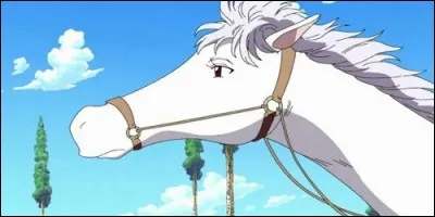 Où Luffy rencontre Shelly, le cheval de Tonjit ?