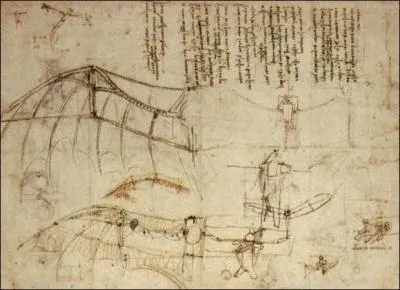 Au dbut de l'aviation, quel nom a-t-on donn  un avion muni d'ailes battantes pour reproduire le vol des oiseaux ?