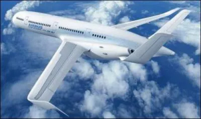 Pour tre accept dans les aroports internationaux, quelle est la taille du carr dans lequel doit tenir un avion ?