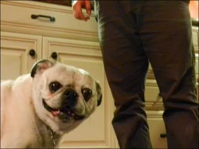 C'est grce  Antoine de Caunes et Jos Garcia que nous avons pu faire la connaissance de ces deux clbrits, Richard Jouir et Sandrine Tropforte, a se passait sur Canal + et ...