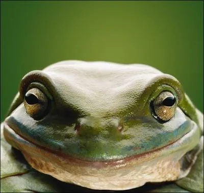 Il est des circonstances, parfois pnibles, o il vous prend, a peut avoir des consquences trs graves pour la suite de votre carrire, surtout si vous tes journaliste, on l'appelle le ...