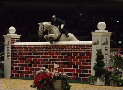 Comment se nomme cet obstacle ?