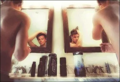 En quelle anne est sorti le premier album des One Direction ?