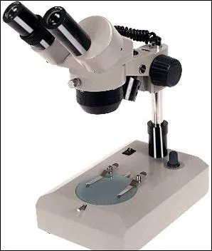 Cousine du prcdent et de celui de la question 9, comment s'appelle cette habitue des cours de SVT ?