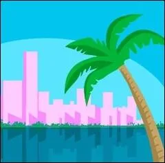 Quelle ville est reprsente par cette image ?