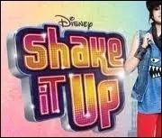 Qui a chant la chanson du gnrique de  Shake It Up  ?