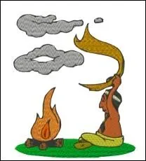 Les indiens peaux-rouges avaient invent un moyen pour se prvenir  distance, avec des codes prcis. Sur quoi ce systme tait-il bas ?