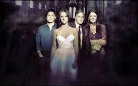 Quelle est cette srie ?