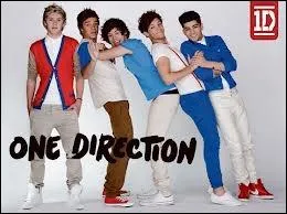Qui a eu l'ide d'appeler le groupe  One Direction  ?