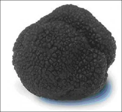Ce champignon est noir et cher, c'est ...
