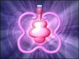 Quel est ce pouvoir de l'Enchantix ?