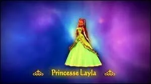 Pourquoi cette tenue ?