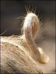 Quand elle est en mtal, elle est bien utile n'est-ce pas ?