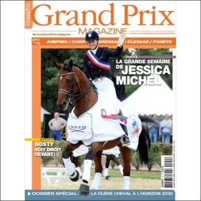 En quelle(s) anne(s) Jessica Michel a-t-elle particip aux Jeux olympiques ?