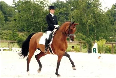 Quelle est la race de sa jument ?