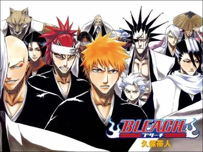 Pour finir, quel personnage fait partie du manga  Bleach  ?