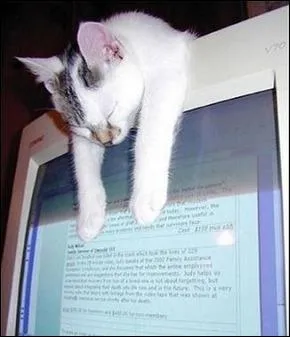 Si vous esprez qu'il fasse ce quiz  votre place, alors-l ...