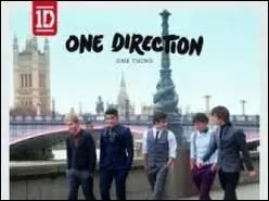 Qui a choisi le nom du groupe ?