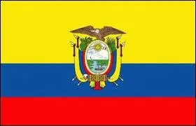 De quel pays provient ce drapeau ?