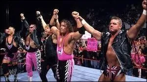 Laquelle de ces superstars n'a jamais fait partie de la  Hart Foundation  ?