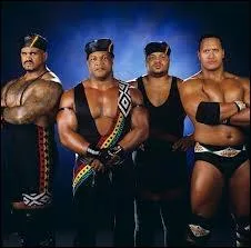 Qui tait le leader de  Nation of Domination  ?