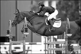 Quelle est la taille de Reed Kessler ?