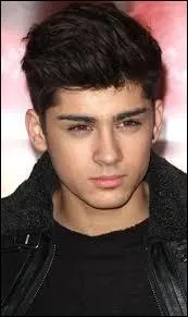 Quand Zayn est-il n ?