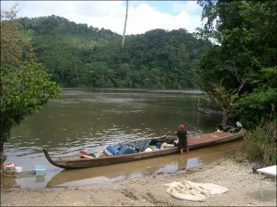Sur une pirogue surinamienne ou guyanaise, nom de la personne, situe  l'avant, et qui signale les obstacles et le chemin  suivre !