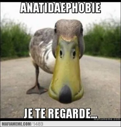 La peur fictionnelle qu'un canard est en train de vous regarder (eh oui, a existe aussi) :