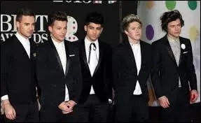 Comment appelle-t-on les fans des One Direction ?