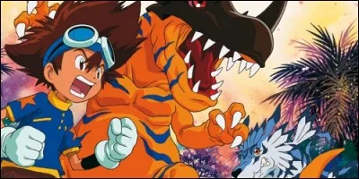 Quel est le titre de ce dessin animé où Tai est le héros principal ?