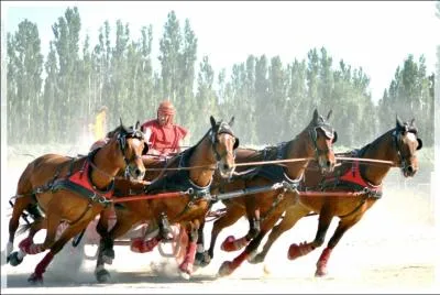 Comment s'appelle ce char antique  deux roues, attel de quatre chevaux de front, utilis comme vhicule d'apparat, puis pour les courses ?