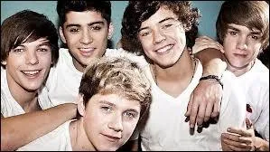 Grce  quelle mission les One Direction ont-ils russi ?