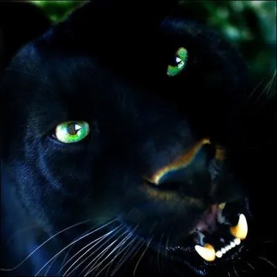 Il en faut peu pour tre heureux, si vous voyez ce que je veux dire !