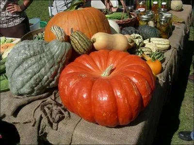 Allez, avant minuit, roulez carrosse, c'est le pied !