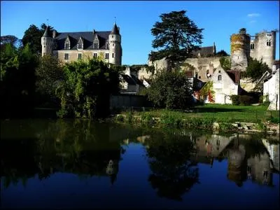 Dans quel dpartement se situe le joli village de Montrsor , ou vous verrez un chteau se mirant dans la rivire et la halle aux Cardeux.