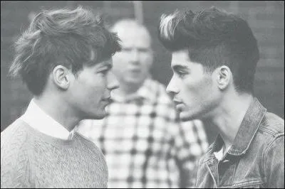 Comment s'appelle cette bromance ?