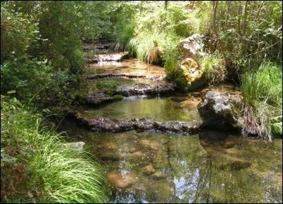 ... pour aller chercher celle qui s'est gare ? Et, s'il la trouve, je vous le dis en vrit, elle lui :
