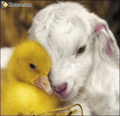 ... qui est dans les cieux qu'il se perde un seul de ces :