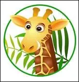 Pourquoi la girafe a-t-elle un long cou ? : D