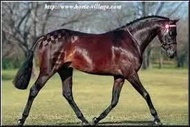 Lesquelles de ces robes sont les plus frquentes ?