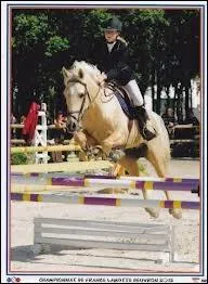 Le poney australien peut galement pratiquer convenablement ;