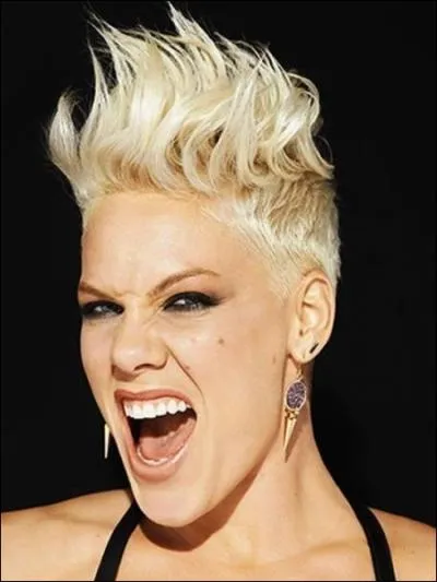 Quelle chanteuse est-ce ?