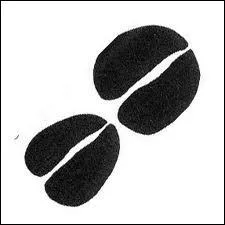 A quel animal, cousin africain de notre taureau, appartiennent ces empreintes ?