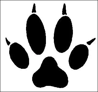 A quel animal fidle appartiennent ces empreintes ?